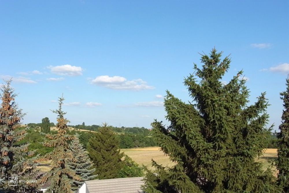 Wiesbaden-Delkenheim8